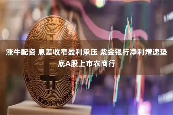 涨牛配资 息差收窄盈利承压 紫金银行净利增速垫底A股上市农商行