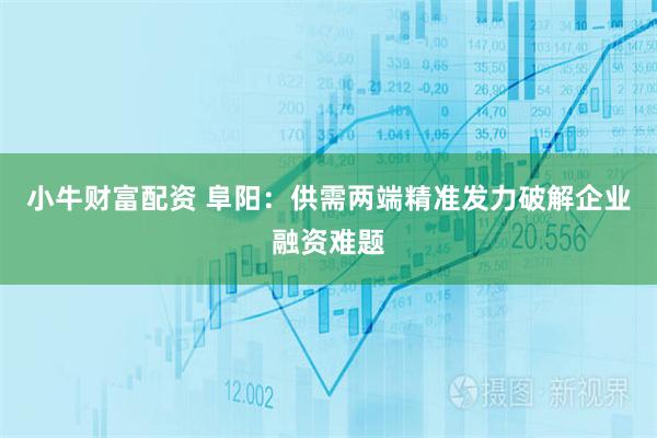 小牛财富配资 阜阳：供需两端精准发力破解企业融资难题