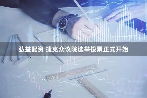 弘益配资 捷克众议院选举投票正式开始