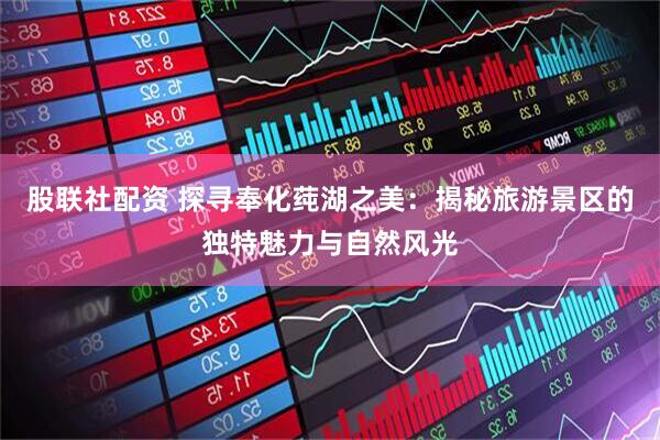 股联社配资 探寻奉化莼湖之美：揭秘旅游景区的独特魅力与自然风光