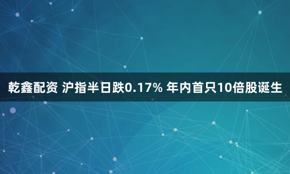 乾鑫配资 沪指半日跌0.17% 年内首只10倍股诞生