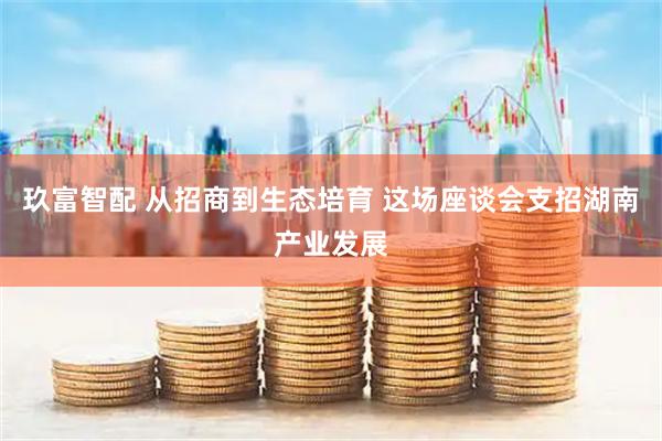 玖富智配 从招商到生态培育 这场座谈会支招湖南产业发展
